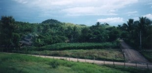 colimatown4