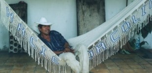 donchepe