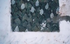 wall10